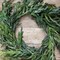 24” Iced Garden Norfolk Pine Wreath Elegant Frosted Holiday Decoration